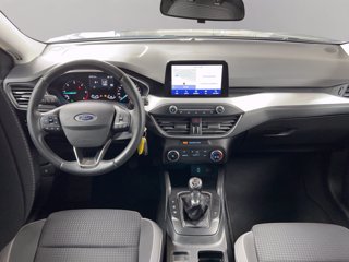 FORD Focus 1.5 EcoBlue 120 CV SW Business