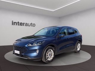 FORD Kuga 1.5 EcoBlue 120 CV 2WD Titanium Business