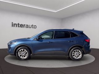 FORD Kuga 1.5 EcoBlue 120 CV 2WD Titanium Business