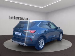 FORD Kuga 1.5 EcoBlue 120 CV 2WD Titanium Business