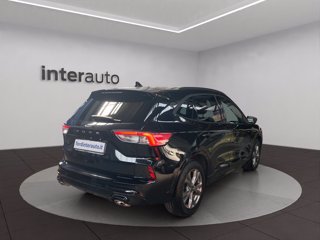 FORD Kuga 1.5 ecoblue ST-Line X 2wd 120cv