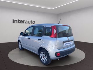 FIAT Panda 1.0 firefly hybrid s&s 70cv 5p.ti