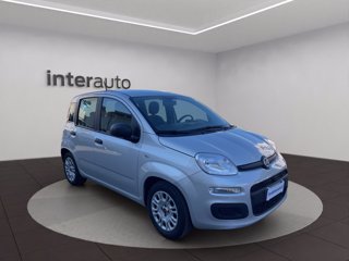 FIAT Panda 1.0 firefly hybrid s&s 70cv 5p.ti