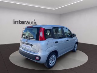 FIAT Panda 1.0 firefly hybrid s&s 70cv 5p.ti