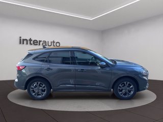 FORD Kuga 2.5 phev ST-Line X 2wd 225cv cvt