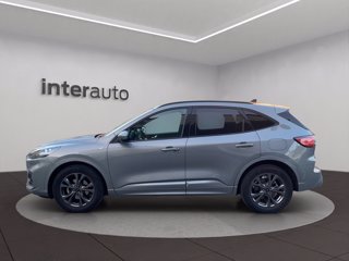 FORD Kuga 1.5 ecoblue ST-Line X 2wd 120cv auto