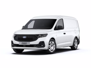 FORD Transit Connect Trend 2.0 Diesel 102CV Passo Lungo