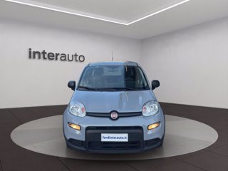 FIAT Panda 1.0 firefly hybrid City Life s&s 70cv