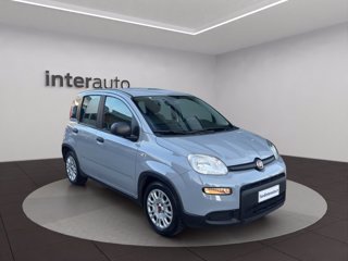 FIAT Panda 1.0 firefly hybrid City Life s&s 70cv