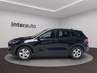 FORD Kuga 1.5 ecoblue Connect 2wd 120cv