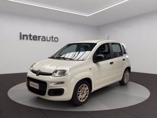 FIAT Panda 1.0 hybrid Easy s&s 70cv