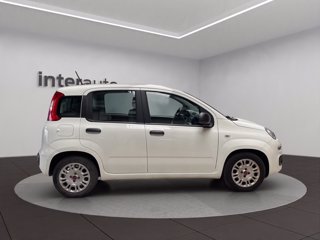 FIAT Panda 1.0 hybrid Easy s&s 70cv