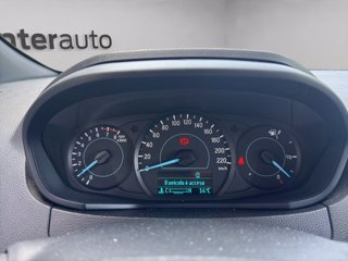 FORD Ka + active 1.2 s&s 85cv
