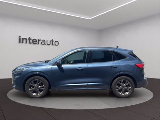 FORD Kuga 1.5 ecoblue ST-Line X 2wd 120cv auto