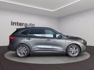 FORD Kuga 1.5 ecoblue ST-Line 2wd 120cv