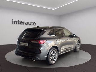 FORD Kuga 1.5 ecoblue ST-Line 2wd 120cv