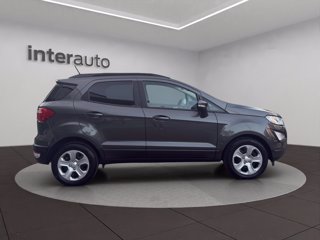 FORD EcoSport 1.5 ecoblue Plus s&s 100cv my19
