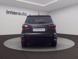 FORD EcoSport 1.5 ecoblue Plus s&s 100cv my19