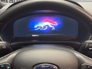 FORD Puma 1.0 ecoboost h ST-Line s&s 125cv