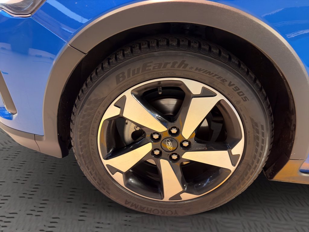 FORD Focus Active 1.5 ecoblue Style 115cv auto