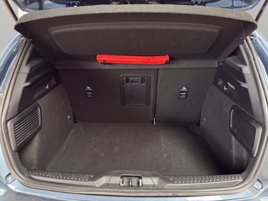 FORD Focus 1.0t ecoboost h ST-Line X 125cv