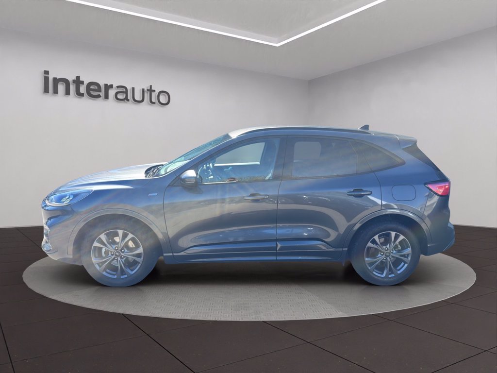 FORD Kuga 1.5 EcoBlue 120 CV 2WD ST-Line