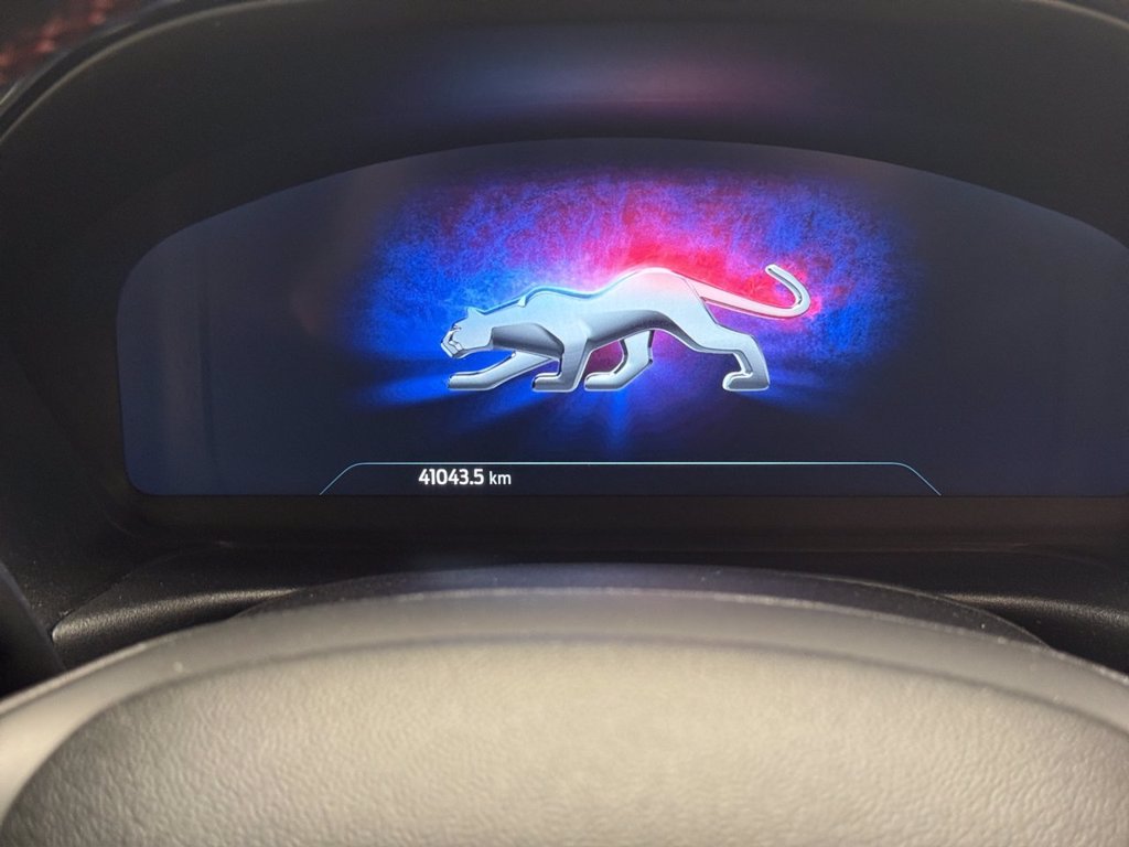 FORD Puma 1.0 EcoBoost Hybrid 125 CV S&S ST-Line