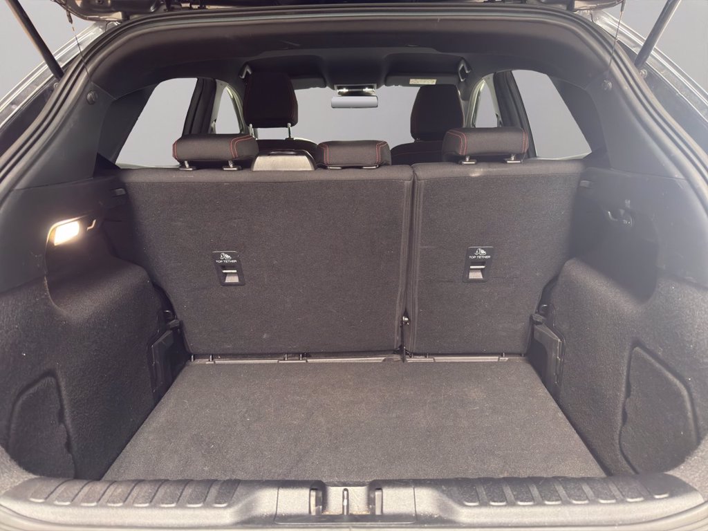 FORD Puma 1.0 EcoBoost Hybrid 125 CV S&S ST-Line