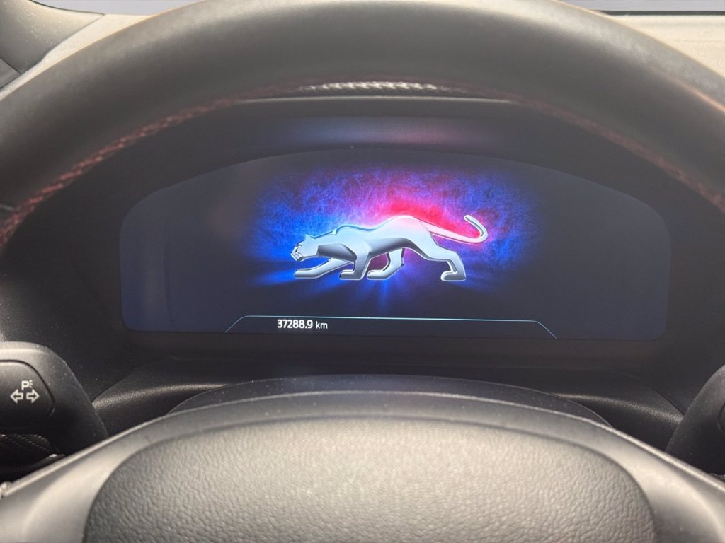 FORD Puma 1.0 EcoBoost Hybrid 125 CV S&S ST-Line X