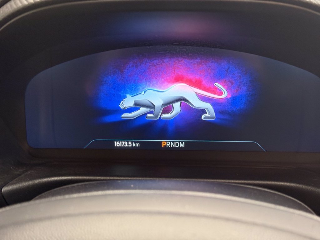 FORD Puma 1.0 EcoBoost Hybrid 125 CV S&S aut. ST-Line X